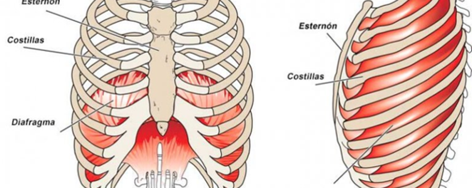 fisioterapia-y-ela